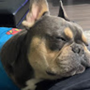 Meet your Posher, Aaron